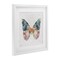 Stupell Industries Floral Flight Butterfly Wings Framed Print Under Glass, design by Nicole DeCamp